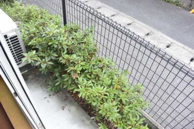 レオパレス川西 その他18