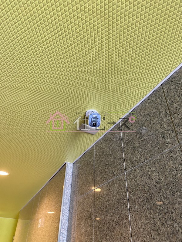 シエテ生野東 その他外観4