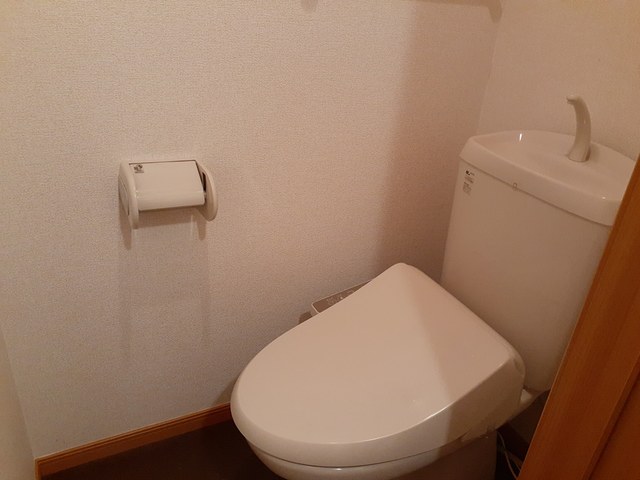 アウロ－ラ その他5