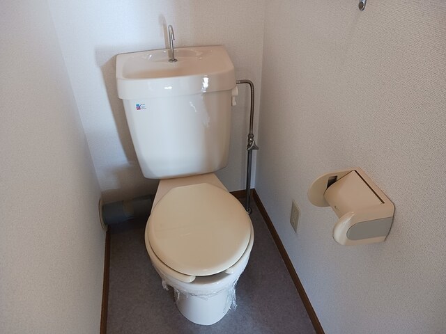 ベルシュライン その他5