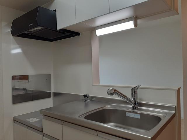 プチフローラ　北野田Ⅲ キッチン