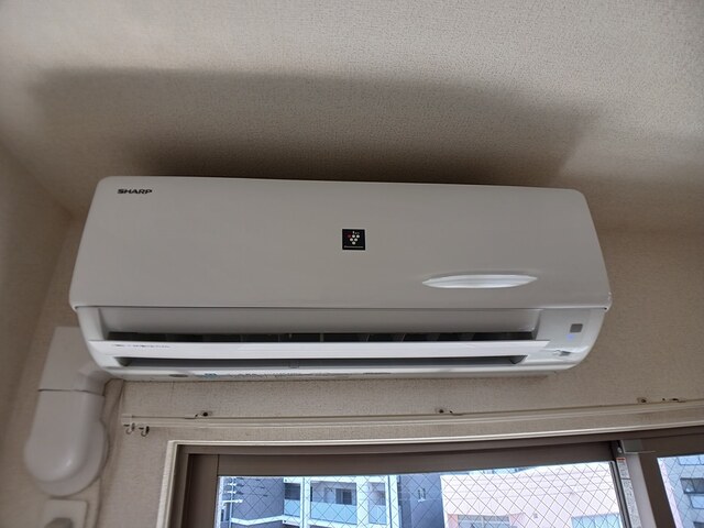 ｂｒｉｓａ　ｆｅｌｉｚ その他1