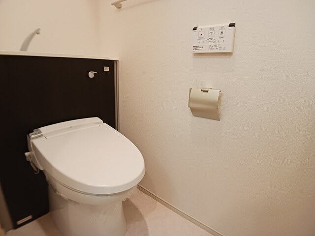 ｂｒｉｓａ　ｆｅｌｉｚ その他5