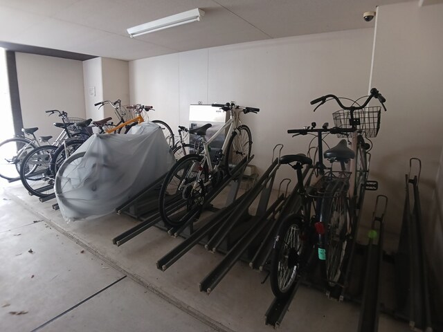 ｂｒｉｓａ　ｆｅｌｉｚ その他7