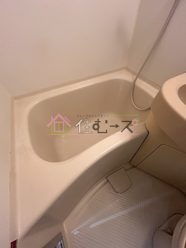 ビクトリーハイムニシミツ 風呂画像