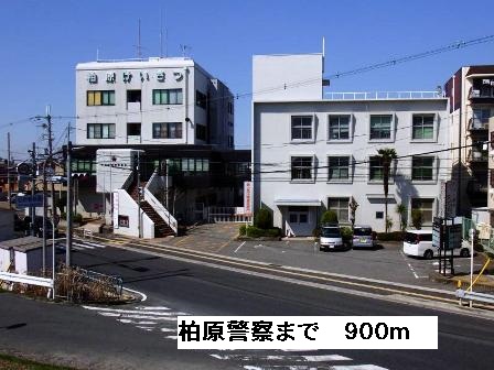 セレノ　アロッジオⅤ その他外観5