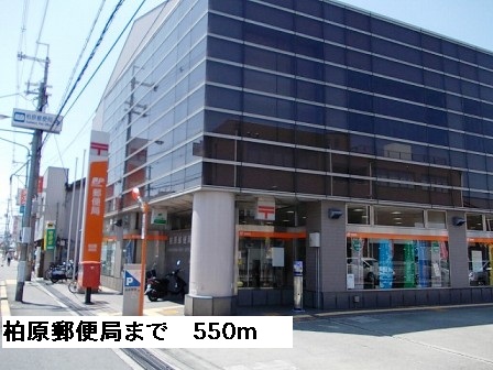 セレノ　アロッジオⅤ その他外観6