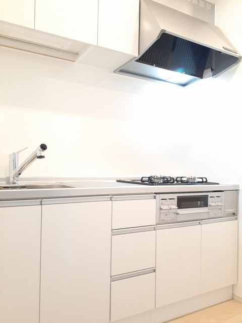 プレージア虫取 キッチン