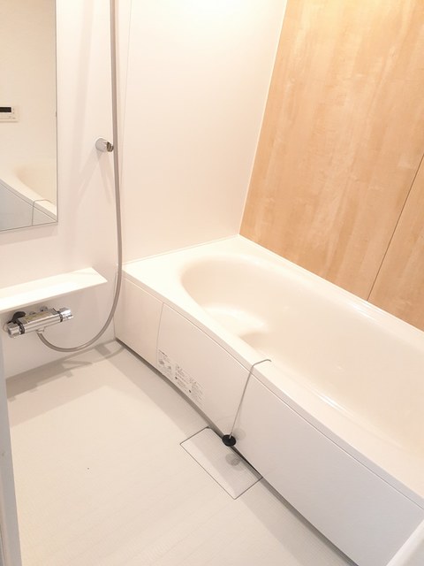 プレージア虫取 風呂画像