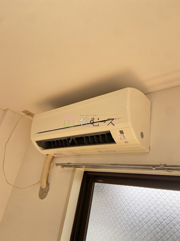 アリーナツムラ その他2