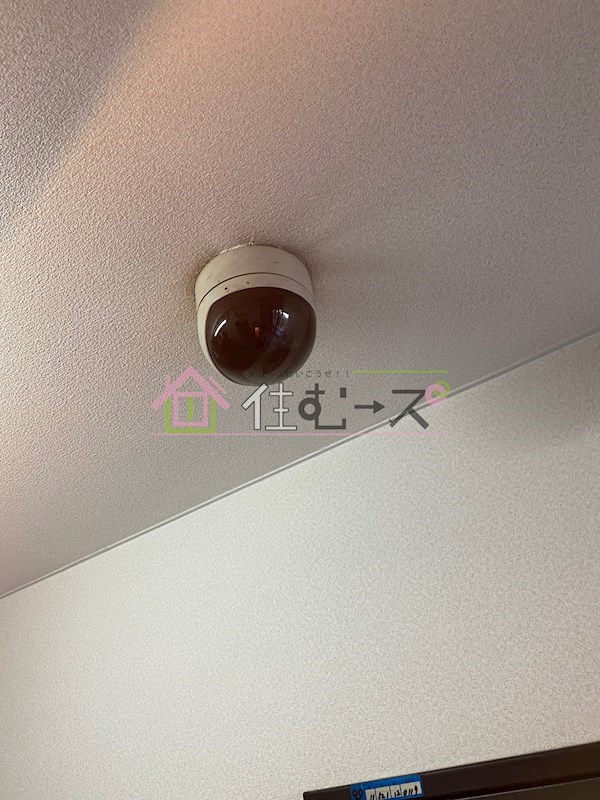 アリーナツムラ その他外観5