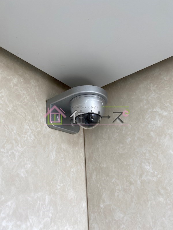 キッポー平野加美  その他外観4