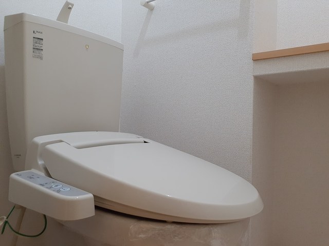 クイーン・カーサ その他2