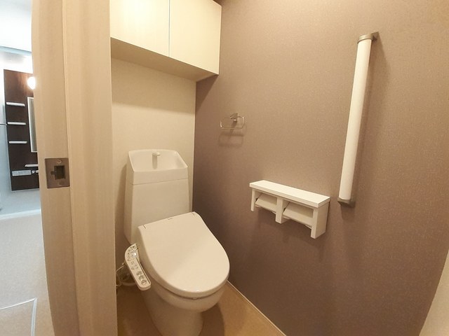 プラシード その他2