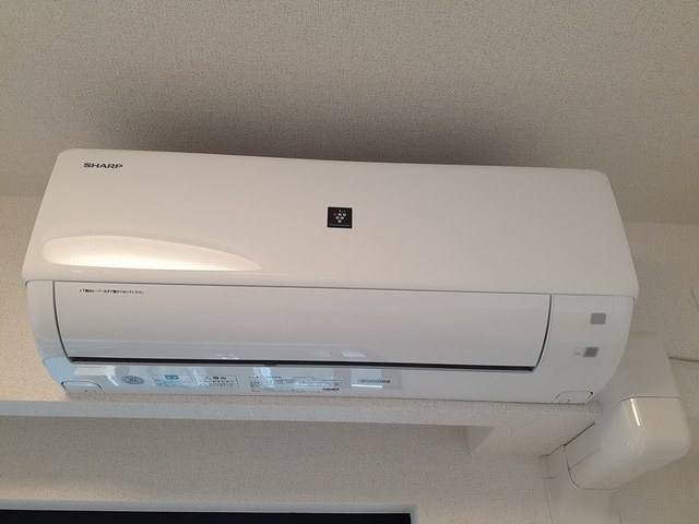 プラシード その他4