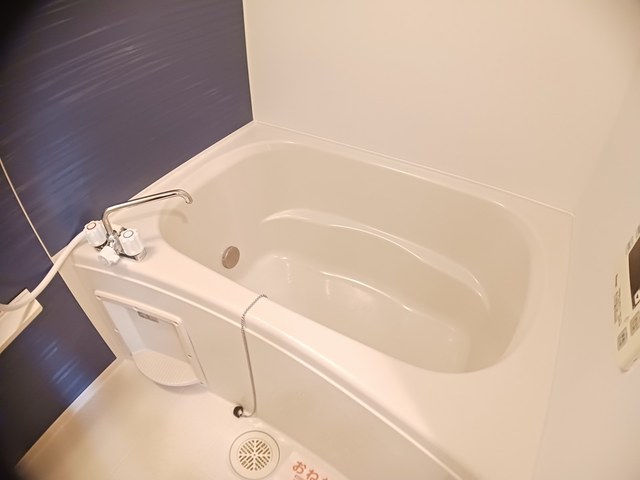 グリーン・ヴィラ　Ⅰ 風呂画像