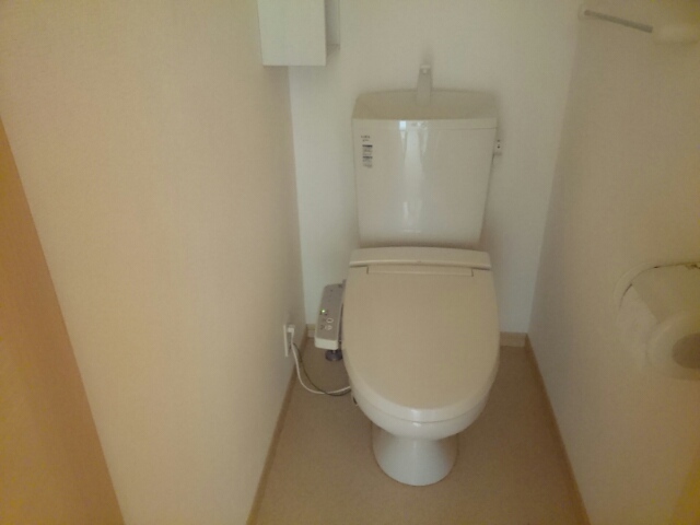 ポーラー・スター その他2