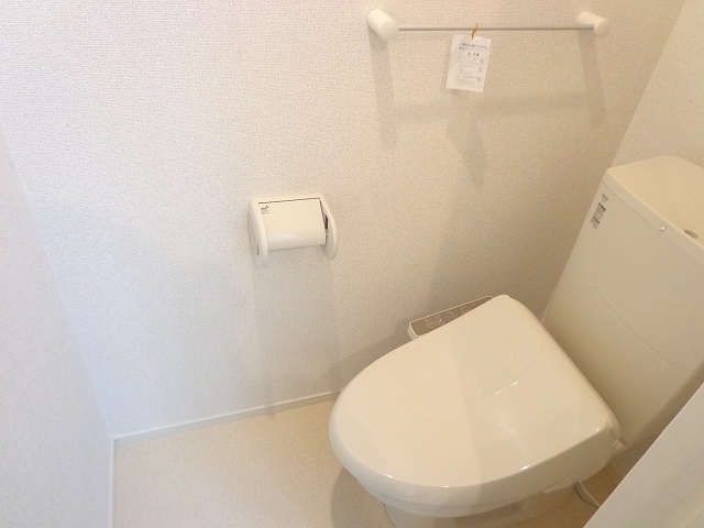 ルノワール その他4