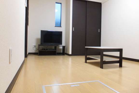 レオネクストサウスユーアイ リビング