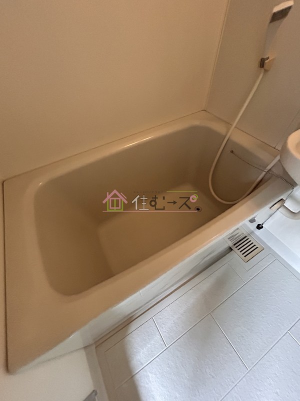 アクアパレスⅢ 風呂画像