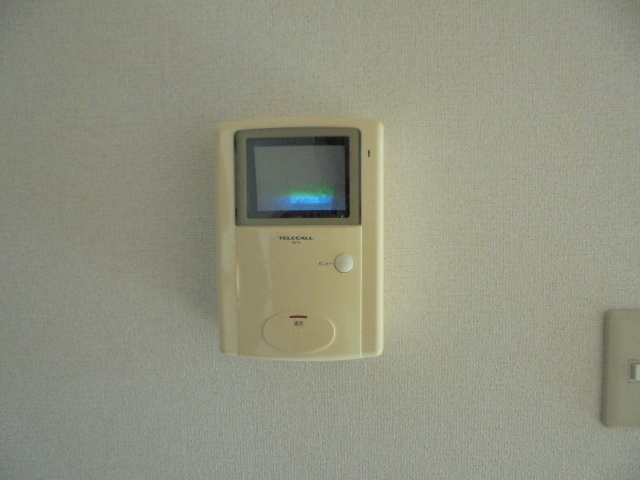 アウローラ その他4