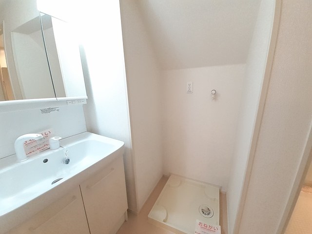 コネスール その他1