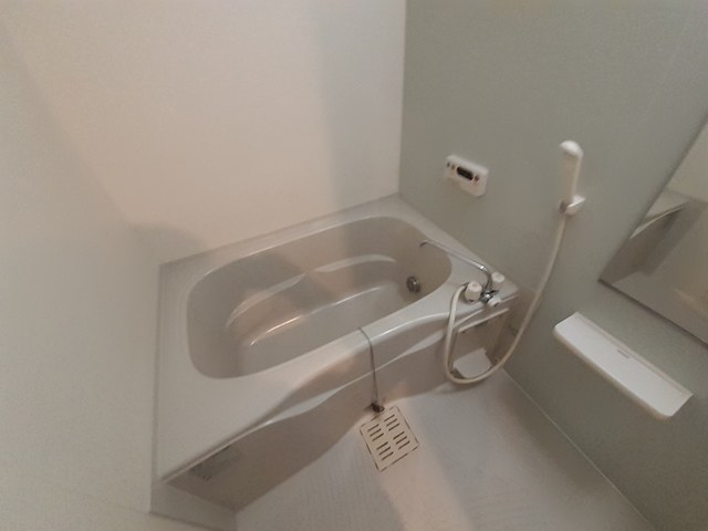 サギタリウス　レオ 風呂画像