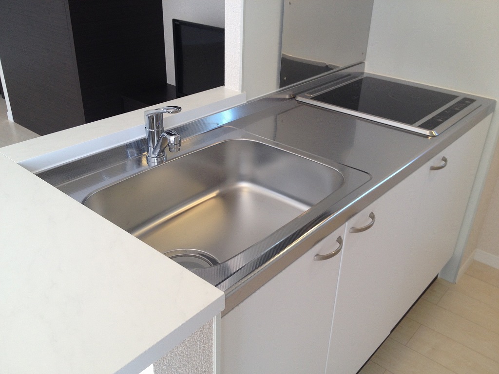 レオネクストニューキッショー その他4