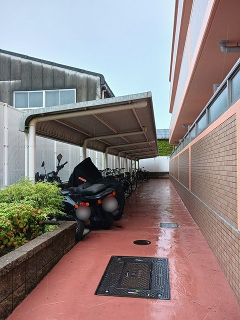 セレンディピティ　Ｏ・Ｖ その他7