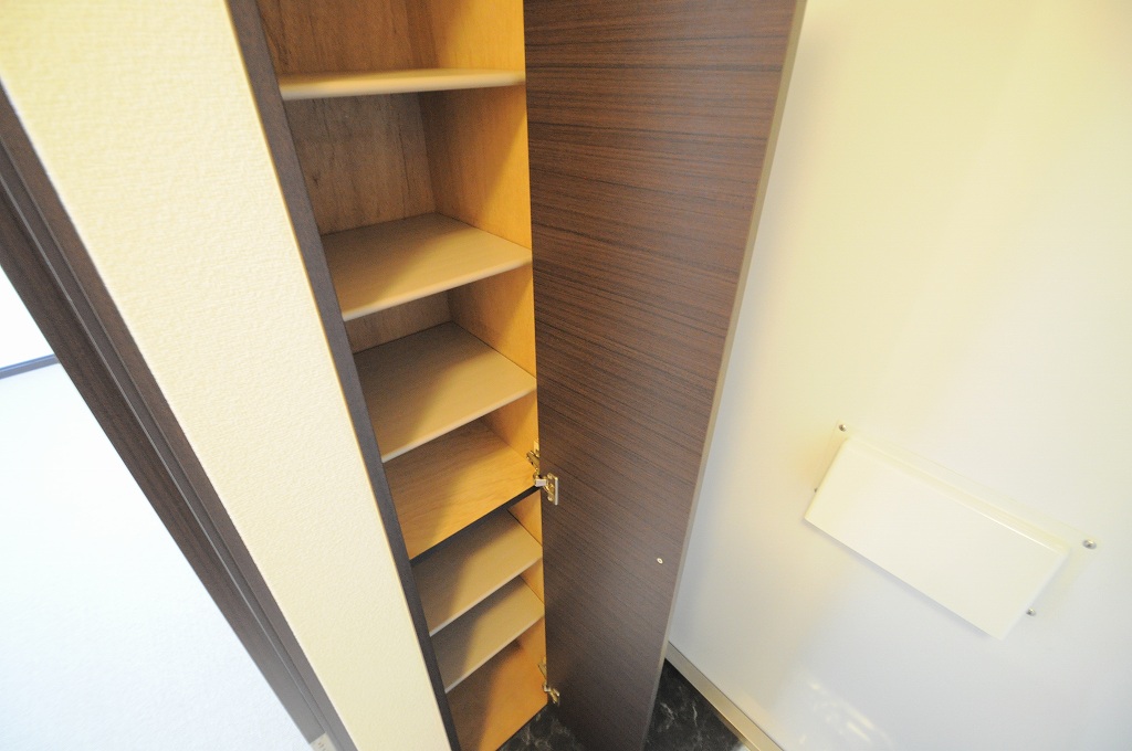 レオネクストサウスユーアイ 玄関