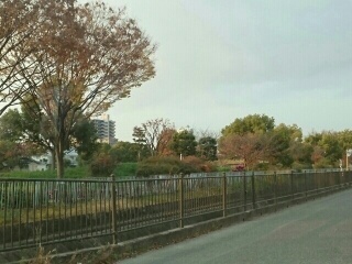 グレンディール　ティニー その他外観1