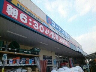 グレンディール　ティニー その他外観4