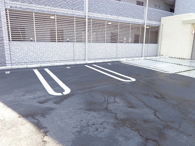 カメリア　Ｙ その他5