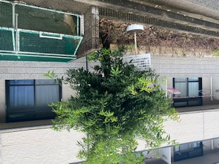 レオパレス日生ひがし その他13