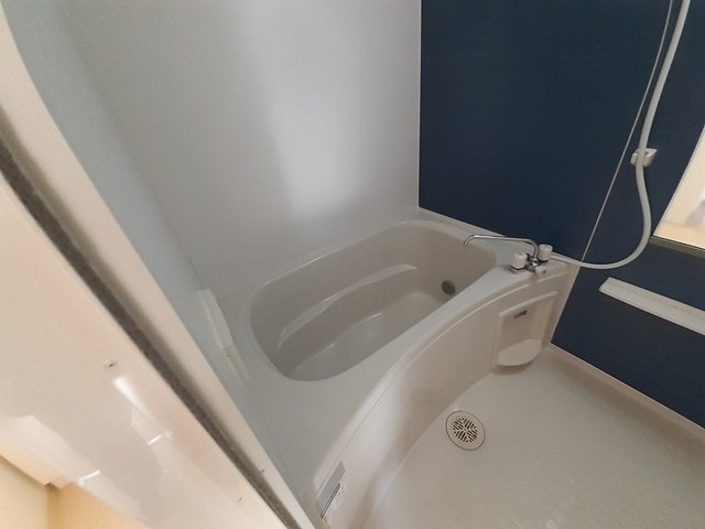 トレ　ミ　カーサ星の森 風呂画像