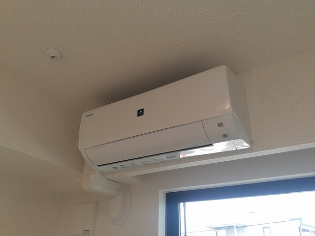 バーミィ その他3