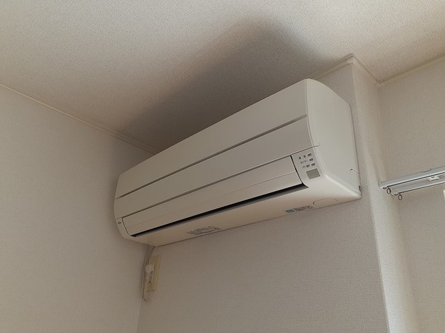 ビッグ　ウエスト その他3