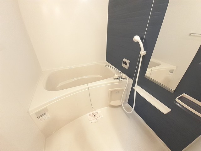 ビッグ　ウエスト 風呂画像