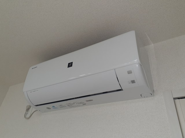 ポルチュラーカ その他3