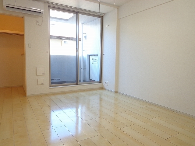 サウス　ピュア その他1