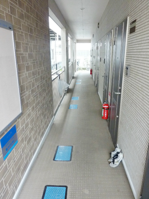 メゾン大島Ⅱ その他外観3