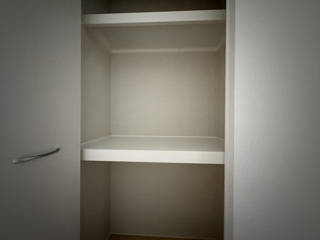 セントハイネリア その他9