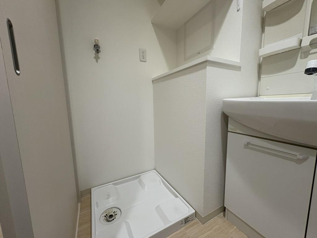 セントハイネリア その他11