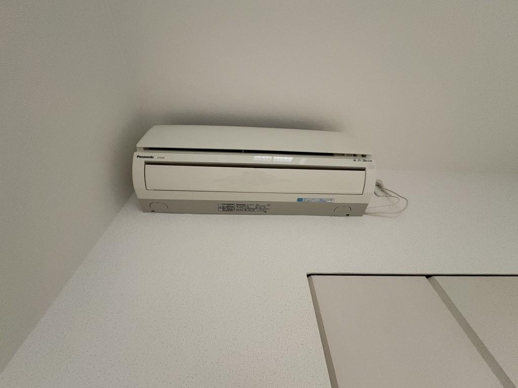 セントハイネリア その他12