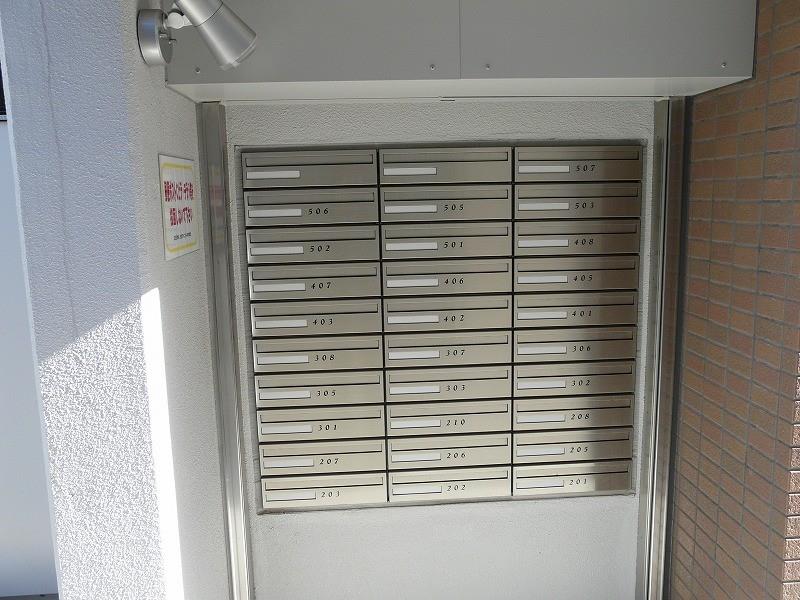 セントハイネリア その他14