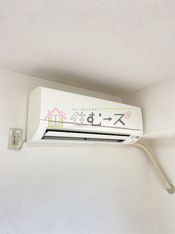 ルネッサンスロザリア その他3