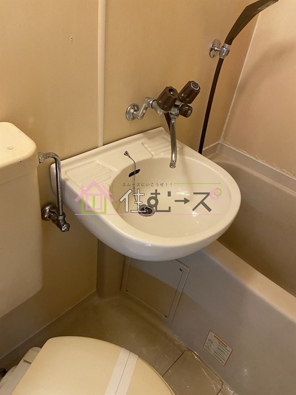 ルネッサンスロザリア その他6