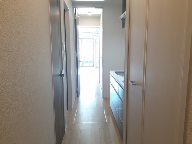 プリムローズ その他5