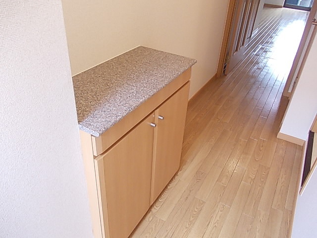 ドリームハウス 玄関