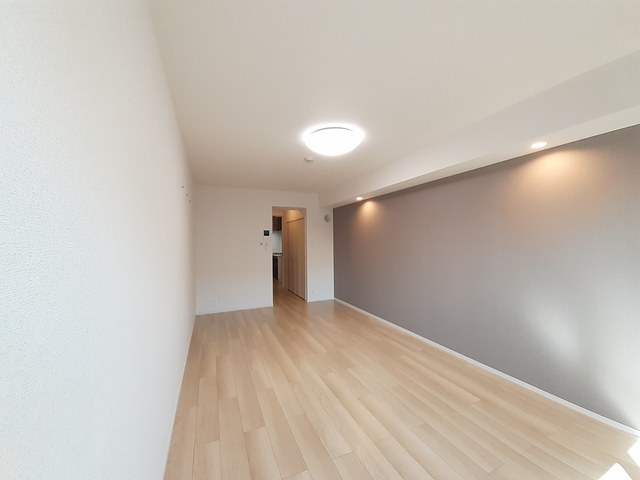 ルミウスⅤ リビング